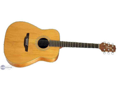Takamine GS330S