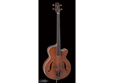 Takamine TB10