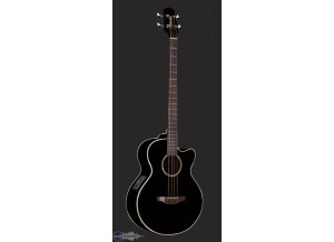 Takamine EG512CB