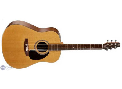 Seagull M6 Cedar GT LR Baggs