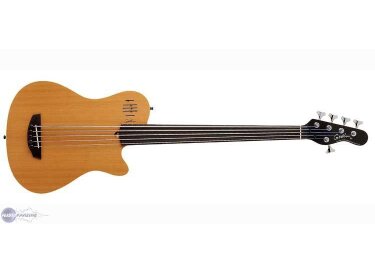 Godin A5 Fretless