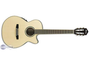 Ibanez AEG10NE