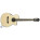 Voir la photo du Ibanez AEG10NE Ibanez AEG10NE