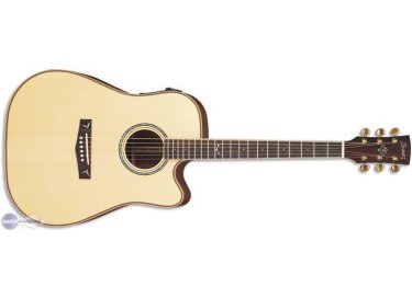 Ibanez AW1000ECE