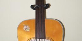 Cherche etui rigide pour ma basse