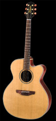 Takamine EN20C