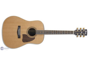 Ibanez AW85