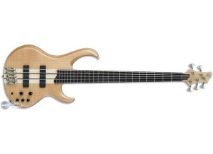 Ibanez BTB1205E