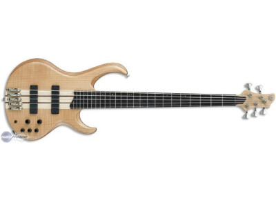 Ibanez BTB1205E