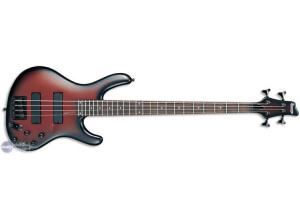 Ibanez EDB600