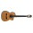 See the photo of the Ibanez GA5TCE Ibanez GA5TCE