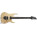 Voir la photo de la Ibanez RGT220A Prestige Ibanez RGT220A Prestige