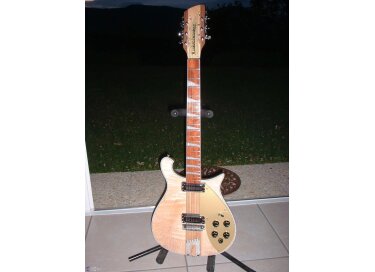 Rickenbacker 660/12