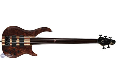 Peavey Cirrus 5 Fretless