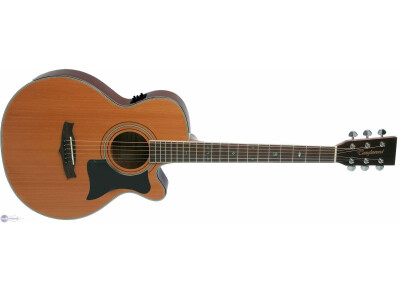 Tanglewood TW145 SC