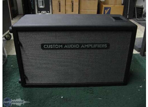 Custom Audio Electronics 2X12