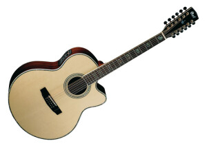 Cort CJ10-12