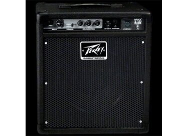 Peavey MAX 110