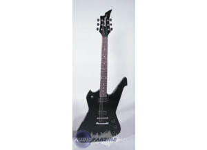 Washburn PS100