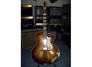 Hofner Guitars 458