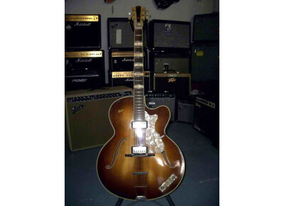 Hofner Guitars 458