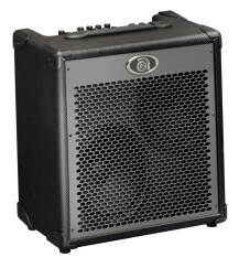 Ampeg PortaBass PBC-228