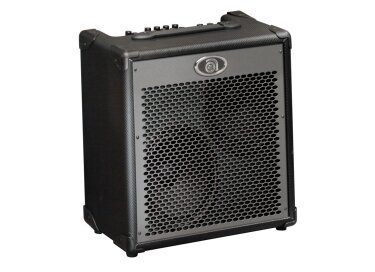 Ampeg PBC-228