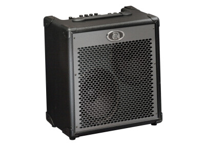 Ampeg PBC-228