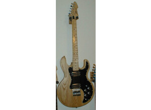 Peavey T-60