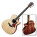 Voir la photo du Taylor 814ce-L10 Fall limited Edition Taylor 814ce-L10 Fall limited Edition