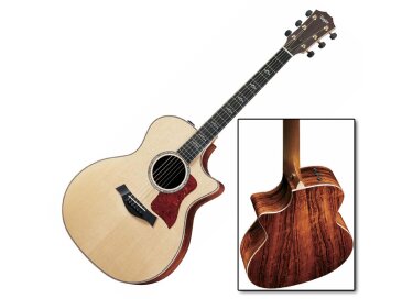 Taylor 814ce-L10 Fall limited Edition