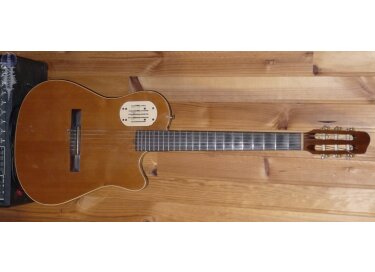 Godin Acousticlassic