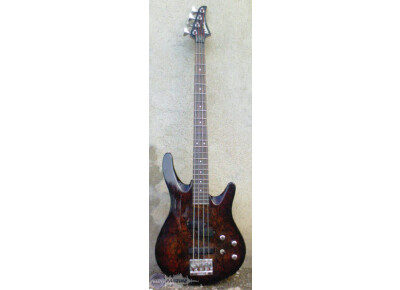 Washburn XS4