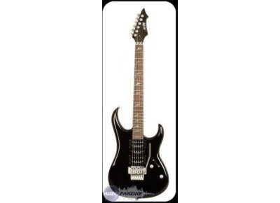 Whale Black Narwhale