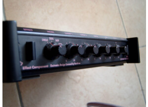 Ibanez EC-40 Canary Chorus