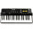 Voir la photo du Line 6 POD Studio KB37 Line 6 POD Studio KB37