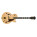 Ibanez GB10 George Benson Signature Prestige