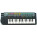 Voir la photo du Casio SA-5 Casio SA-5