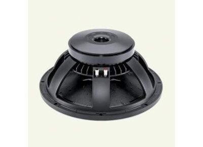 B&C Speakers 15PL100