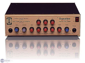 Eden Amplification WT-300 Traveler