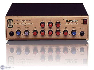 Eden Amplification WT-300 Traveler
