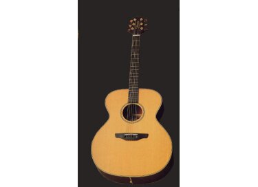 Takamine N20