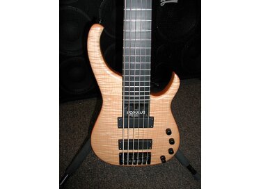Modulus Guitars Quantum 6