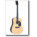 Falcon FG100