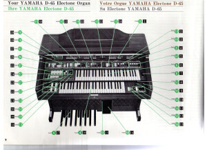 Yamaha Electone D65