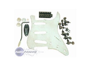 Axl Guitars Hardware Kit