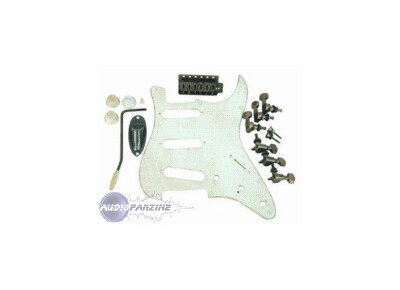 Axl Guitars Hardware Kit