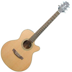 Takamine EG260C