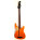 See the photo of the Godin Acoustibass LR Baggs Godin Acoustibass LR Baggs