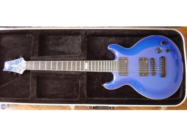 Lâg Custom Shop Roxanne